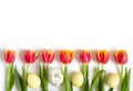 Easter border with red tulips, eggs and a rabbit on a white background. Beautiful Easter composition. Copy space, top view Royalty Free Stock Photo