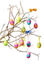 Easter branch