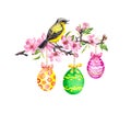 Easter branch - bird, colored eggs, spring flowers. Spring floral twig, watercolor