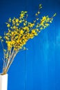 Easter Branch With Yellow Blossoms, Spring Decoration, Blue Background