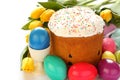 Easter bread, colorful eggs and yellow tulips on white background Royalty Free Stock Photo