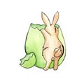 Easter brown bunny peeks into a green egg watercolor