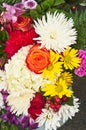 Easter bundle of colorful, veriety of flowers Royalty Free Stock Photo