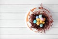 Easter bundt cake with chocolate nest of candy eggs, above on a white wood Royalty Free Stock Photo