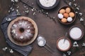 Easter bundt cake with ingredients Royalty Free Stock Photo