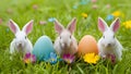 Easter bunnies, eggs, colorful flowers on wide spring background Royalty Free Stock Photo