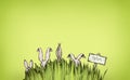 Easter bunnies in the tall grass Royalty Free Stock Photo