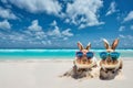 Easter bunnies wearing trendy sunglasses sunbathing on sand beach. Travel holidays vacation