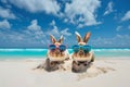 Easter bunnies wearing trendy sunglasses sunbathing on sand beach. Travel holidays vacation. Generative AI