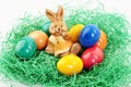 Easter bunny Royalty Free Stock Photo