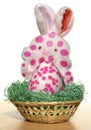 Easter bunny Royalty Free Stock Photo