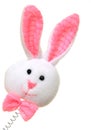 Easter bunny Royalty Free Stock Photo