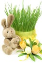 Easter bunny Royalty Free Stock Photo