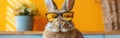 Easter Bunny with Attitude: Cool Rabbit Pet in Shades Gives a Thumbs Up, Standing Alone on Vibrant Orange Backdrop Royalty Free Stock Photo