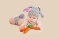 Easter bunny baby playing with carrot Royalty Free Stock Photo