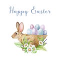 Easter bunny with basket of colored eggs, flowers decor. Watercolor illustration. Cute rabbit with daisy flower, green Royalty Free Stock Photo