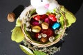 Easter Bunny Basket With Colorful Eggs And Nuts And Evergreen Branches On Black Background