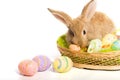 Easter bunny with basket and eggs Royalty Free Stock Photo
