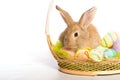 Easter bunny with basket and eggs Royalty Free Stock Photo