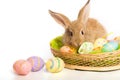 Easter bunny with basket and eggs Royalty Free Stock Photo