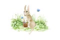 Easter bunny with a basket of eggs. on the meadow watercolor illustration. Funny cute little rabbit on the green grass. Traditiona Royalty Free Stock Photo