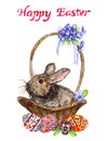 Easter bunny in basket with eggs with traditional painting, chick and spring flowers: pansies and violets, `Happy Easter` Royalty Free Stock Photo