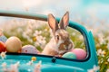 Easter bunny in a blue car with colored eggs Royalty Free Stock Photo