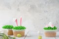 Easter bunny and ears cupcakes. Recipe or menu mockup