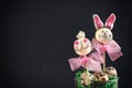 Easter bunny cake pops Royalty Free Stock Photo