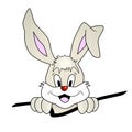 Easter bunny cartoon - cute smiling rabbit