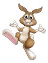 Easter Bunny Cartoon Rabbit Illustration Royalty Free Stock Photo