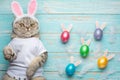 Easter bunny, cat with bunny ears and Easter colored with eggs and ears. Easter and holiday