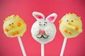 Easter bunny and chick cake pops Royalty Free Stock Photo