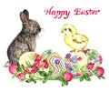 Easter bunny, chick and eggs with traditional painting and clover, Happy Easter Royalty Free Stock Photo