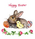 Easter bunny, chick and eggs with traditional painting and clover, Happy Easter Royalty Free Stock Photo