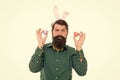 Easter bunny colored eggs. Holiday accessories. Celebration of spring holiday. Bearded man with bunny ears and Easter