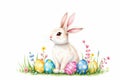 Easter Bunny and Colorful Eggs A Springtime Celebration Royalty Free Stock Photo