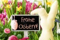 Easter Bunny, Colorful Spring Flowers, Frohe Ostern Means Happy Easter