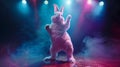 Easter Bunny Cool dance, Dance under the spotlights