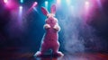 Easter Bunny Cool dance, Dance under the spotlights