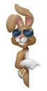 Easter Bunny Cool Rabbit Pointing Cartoon