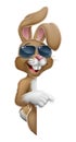 Easter Bunny Cool Rabbit Pointing Cartoon Royalty Free Stock Photo