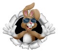 Easter Bunny Cool Rabbit Sunglasses Breaking Wall
