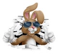 Easter Bunny Cool Rabbit Sunglasses Thumbs Up Royalty Free Stock Photo