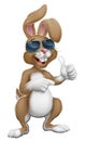 Easter Bunny Cool Rabbit Thumbs Up and Pointing Royalty Free Stock Photo