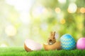 Easter bunny on cracked eggs Royalty Free Stock Photo