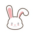 easter bunny cute face rabbit