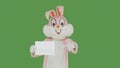 Easter Bunny dances on chroma key, green screen. Easter rabbit holds shows blank poster, broadsheet, placard. Plush