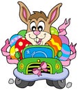 Easter bunny driving car Royalty Free Stock Photo