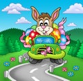 Easter bunny driving car on road Royalty Free Stock Photo